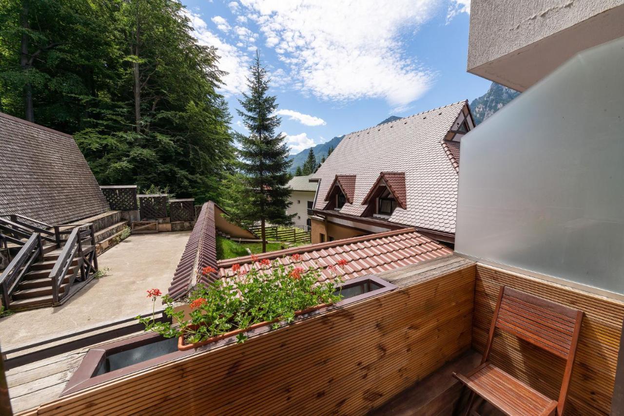ホテル Casa Freya Buşteni エクステリア 写真